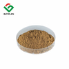 Hypericum perforatum-Extrakt