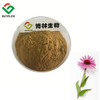 Echinacea-Extrakt