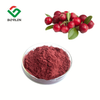 Cranberry-Fruchtsaftpulver