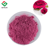 Pitaya-Pulver